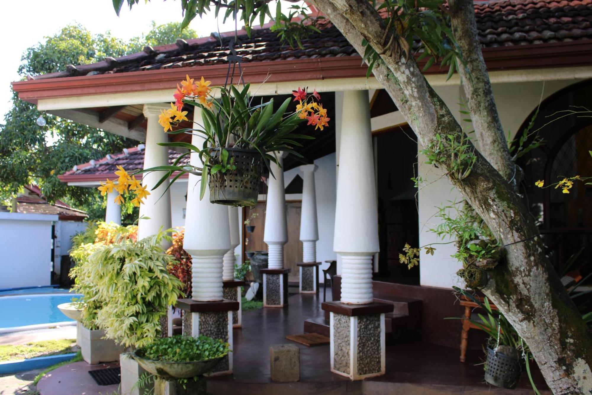 Hotel Olideb Gedara Negombo Exteriér fotografie